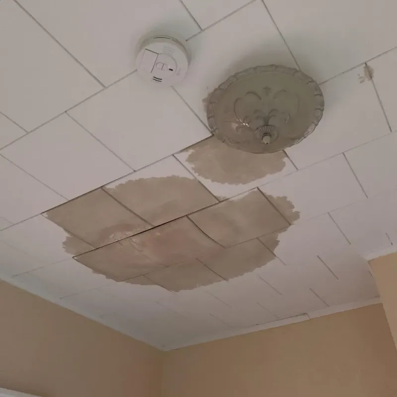 Ceiling Water Damage Repair in Llano, TX