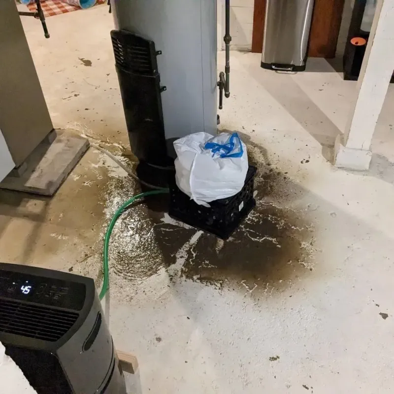 Sewage Backup Cleanup Service in Llano, TX